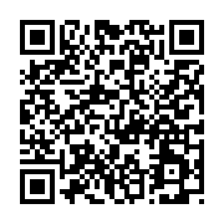 QR code for R447N