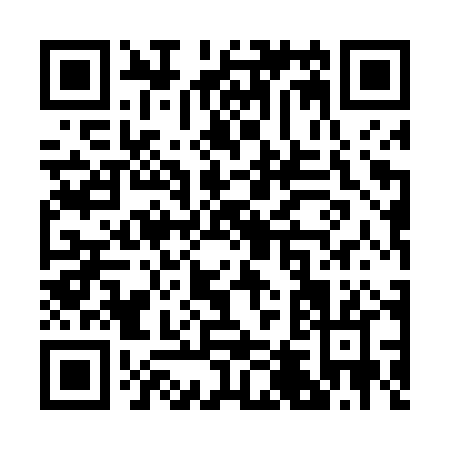 QR code for R454P
