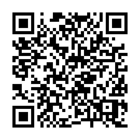 QR code for plate R46 4IR