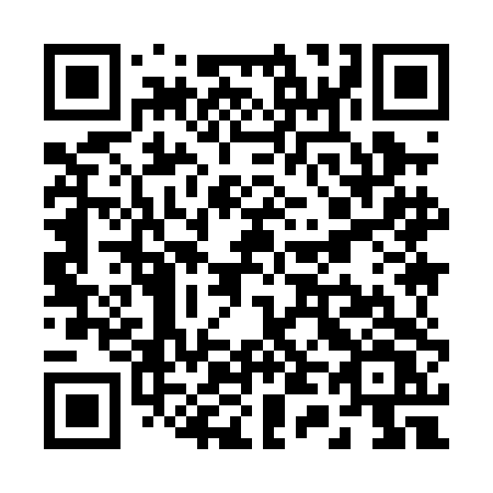 QR code for R490DV