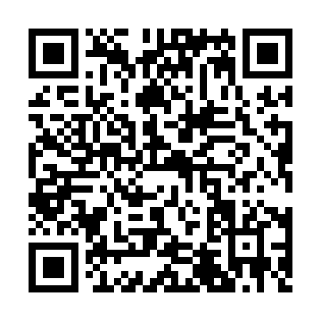 QR code for R491H
