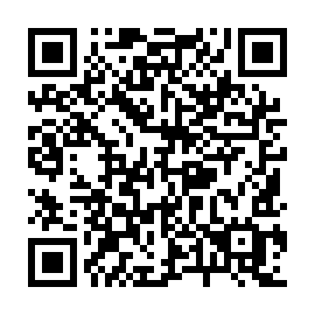 QR code for R491IG