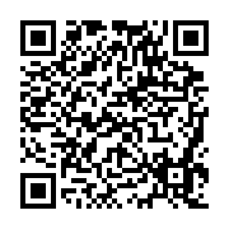 QR code for R493G