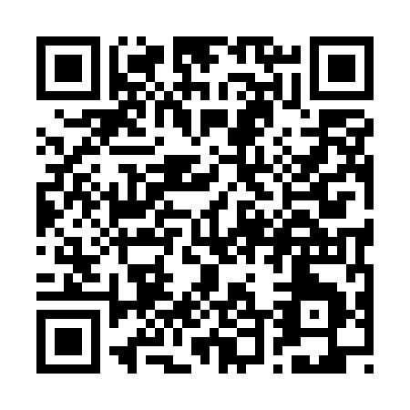 QR code for R495I