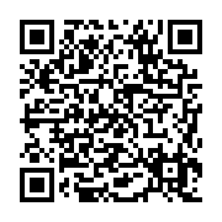 QR code for R501Z