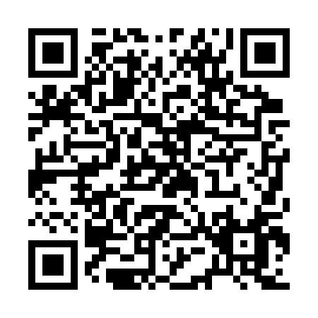 QR code for R503Q