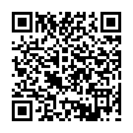 QR code for R509G