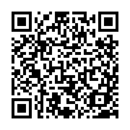 QR code for R51 3DI