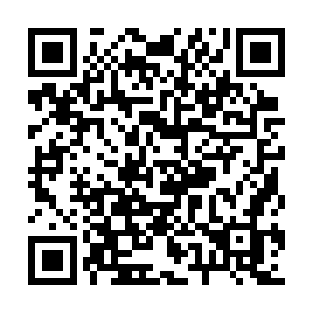 QR code for R513WJ
