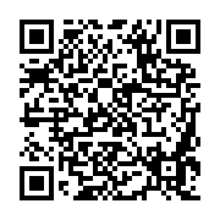 QR code for R519M