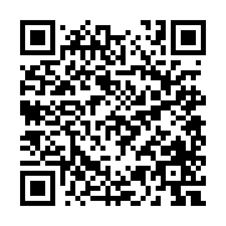 QR code for R520H