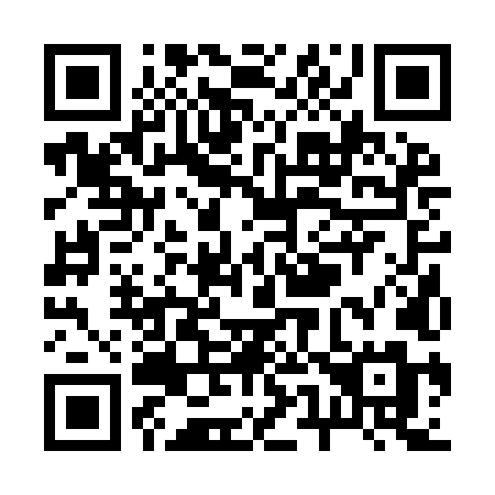 QR code for plate R52 9LM
