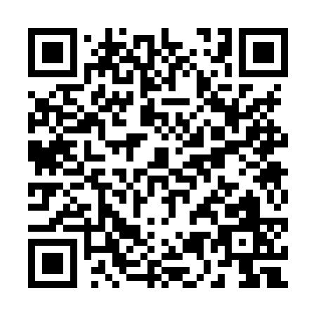 QR code for R538S