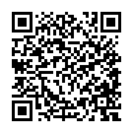 QR code for R546X