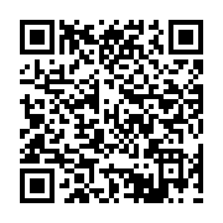 QR code for R596N