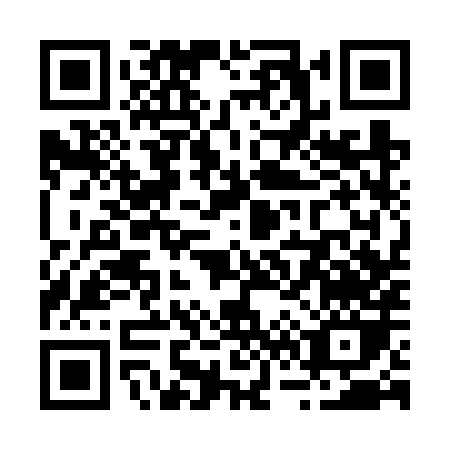 QR code for R636X