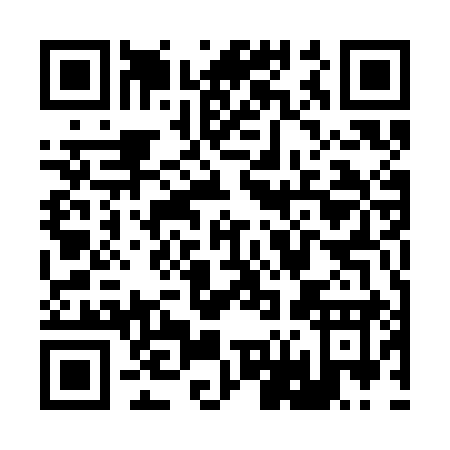 QR code for R653I