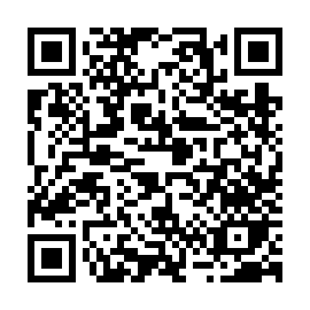 QR code for R666J