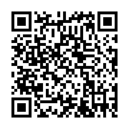 QR code for R687N