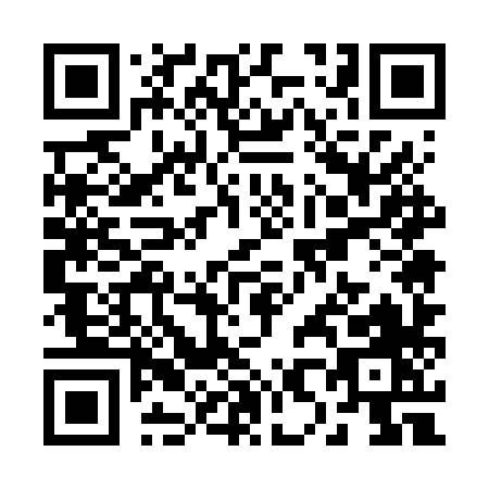 QR code for R856X