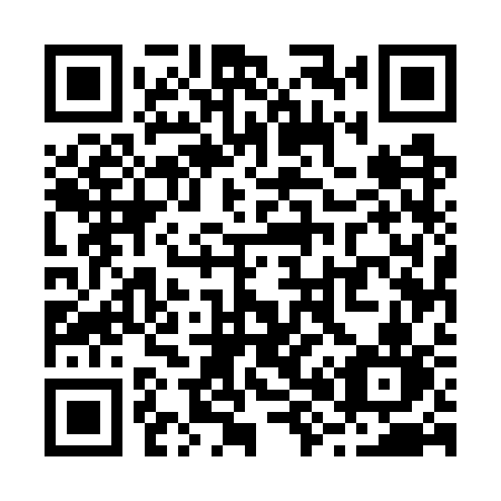 QR code for plate R85 7SN
