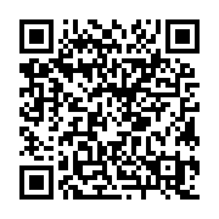QR code for plate R85 9ZI