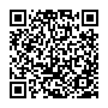 QR code for plate R91 3NR