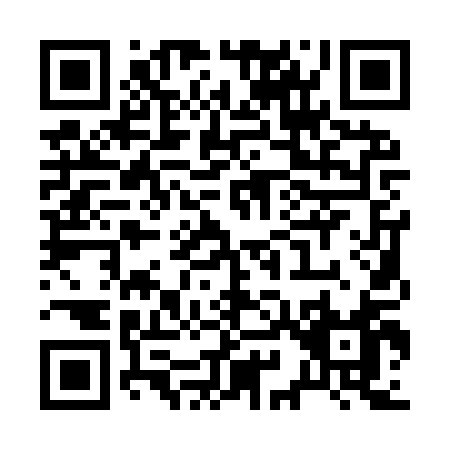 QR code for R919Q