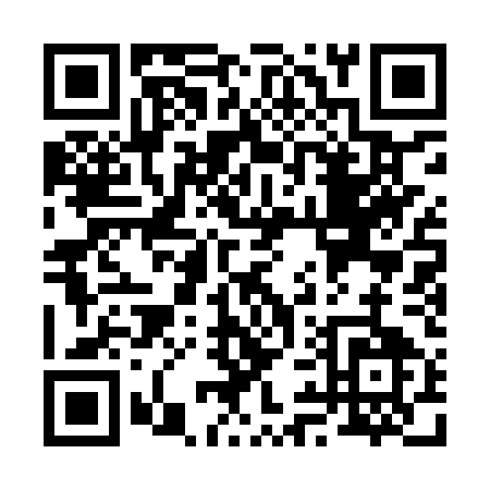 QR code for R919U