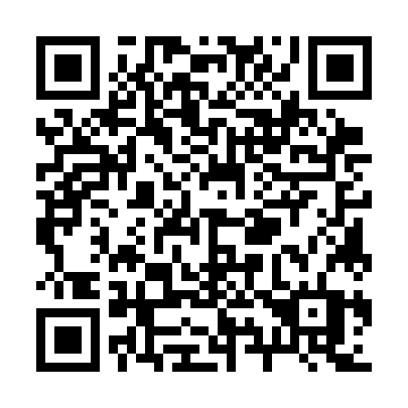 QR code for plate R95 3JT