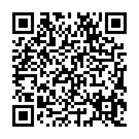 QR code for R955S
