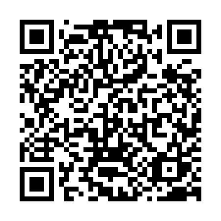 QR code for plate R96 9AS