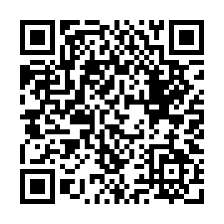 QR code for R991O