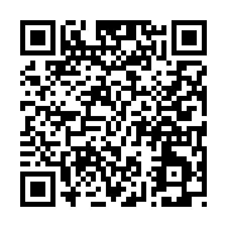 QR code for R993I