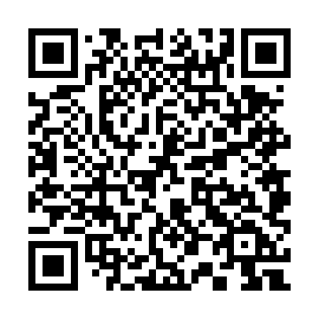 QR code for plate S06 4XD
