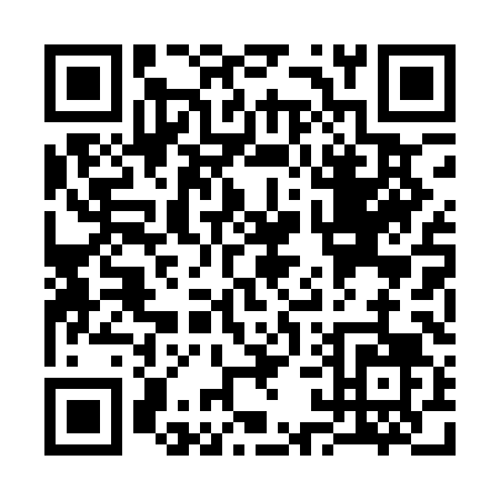 QR code for S101L