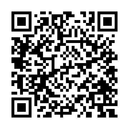 QR code for S125T