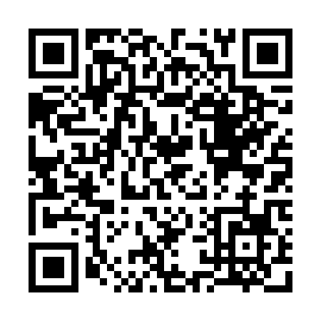 QR code for S166P