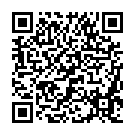 QR code for S225M