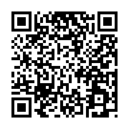 QR code for S229E