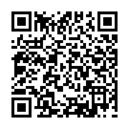 QR code for S253R