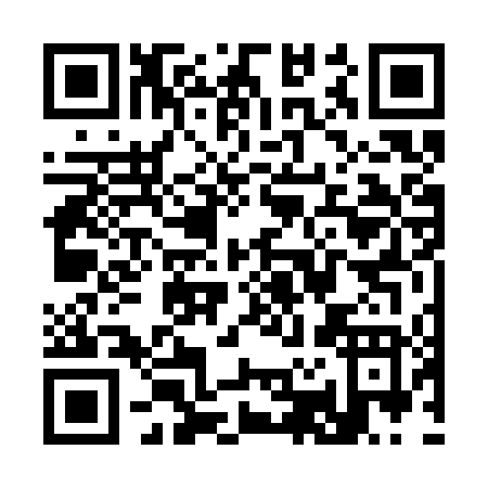 QR code for S263T