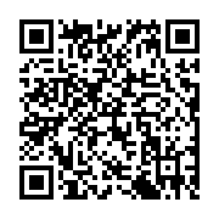 QR code for S271T