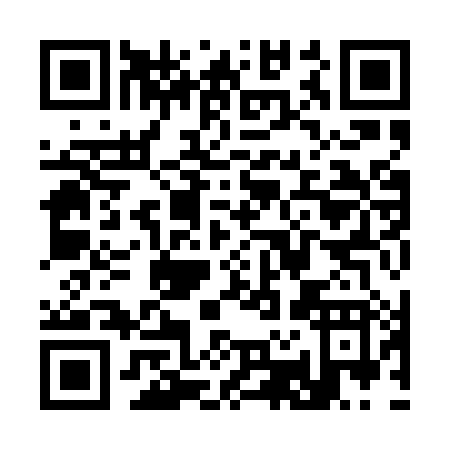 QR code for S290X