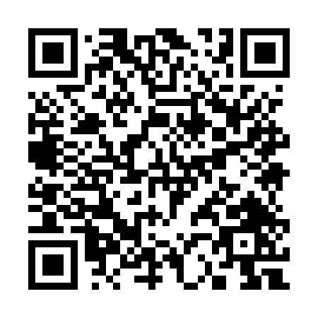 QR code for S295T