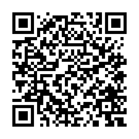 QR code for S317N
