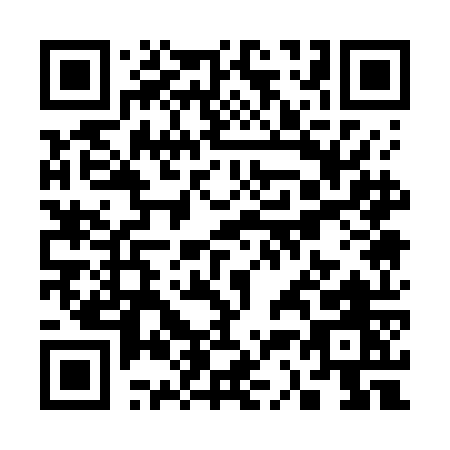 QR code for S317O