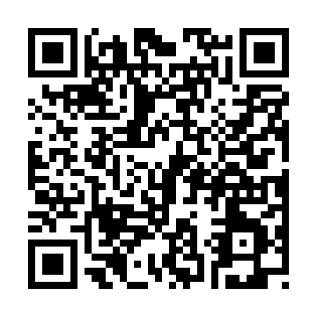 QR code for S370X