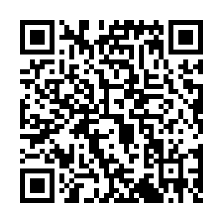 QR code for S381T