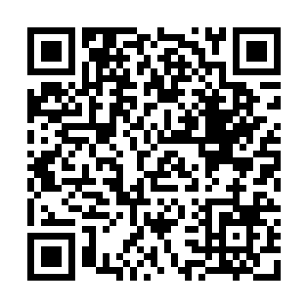 QR code for S384R